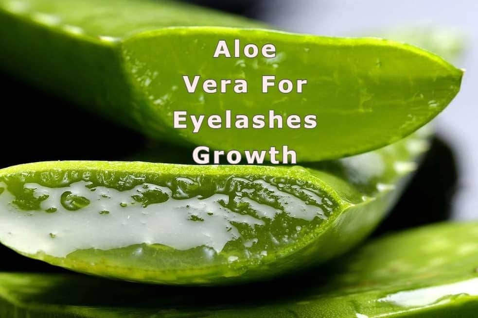 aloe Vera for eyelashes growth