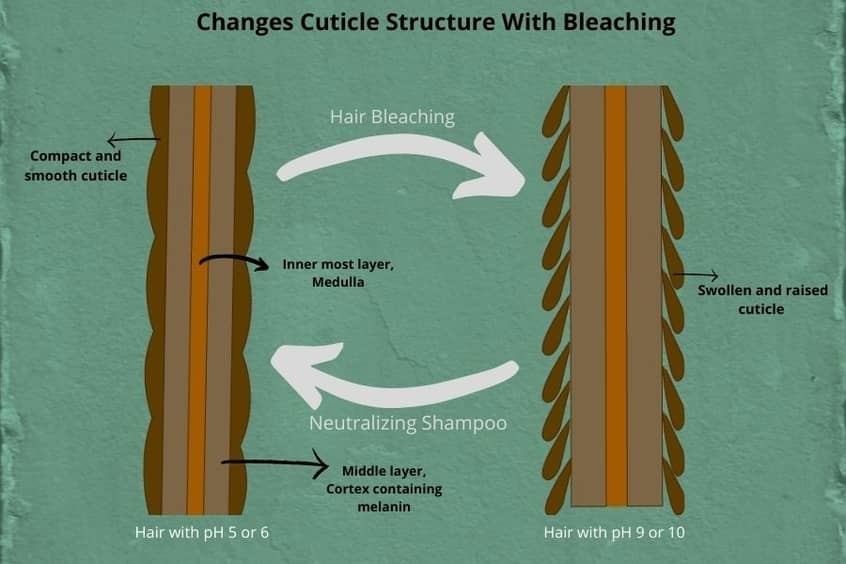 do you need to use neutralizing shampoo after bleaching hair?
